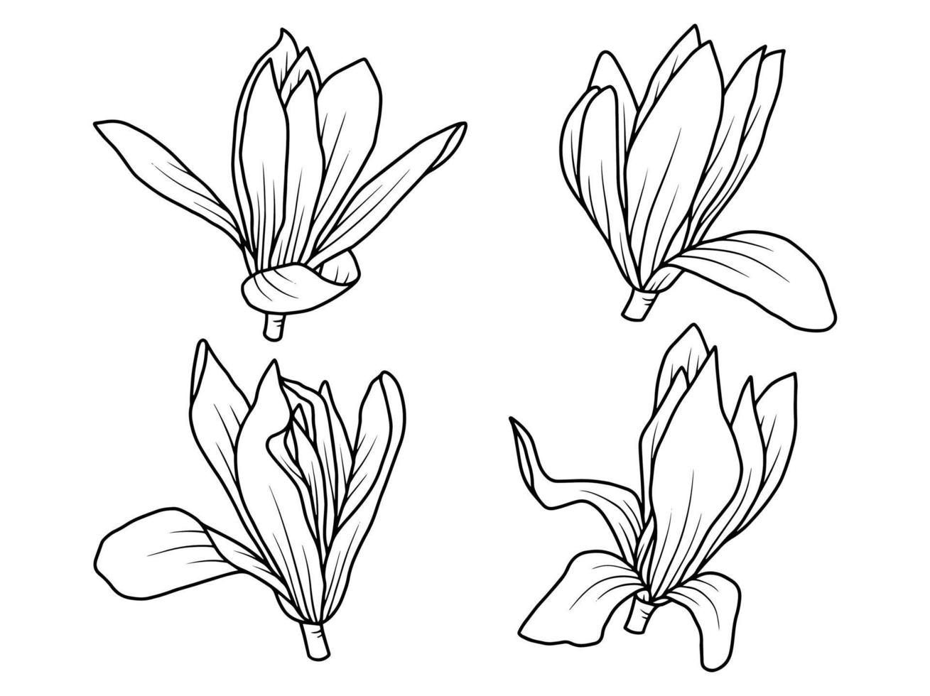 mano disegnato fiore schizzo linea arte illustrazione impostato vettore