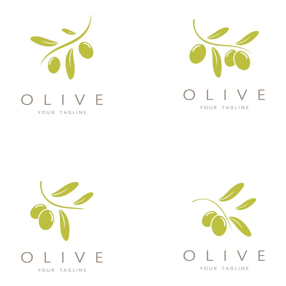 foglia pianta logo e naturale oliva frutta .a base di erbe,oliva olio, cosmetici o bellezza, affari, cosmetologia, agricoltura, ecologia concetto, spa, salute, yoga centro, vettore