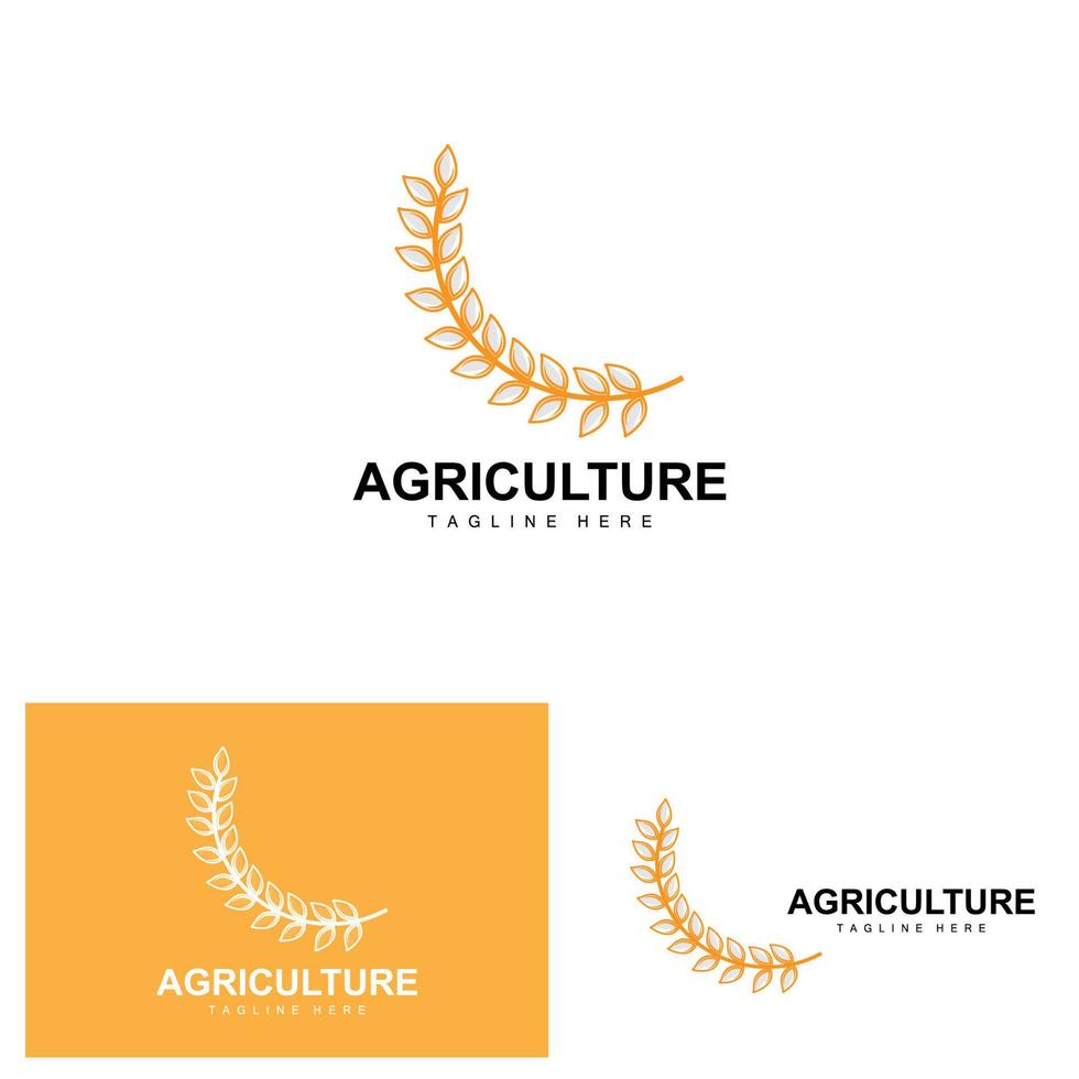 riso logo, agricoltura disegno, vettore Grano riso icona modello illustrazione