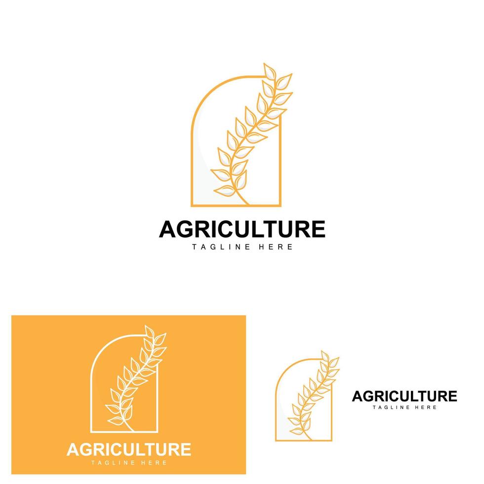 riso logo, agricoltura disegno, vettore Grano riso icona modello illustrazione