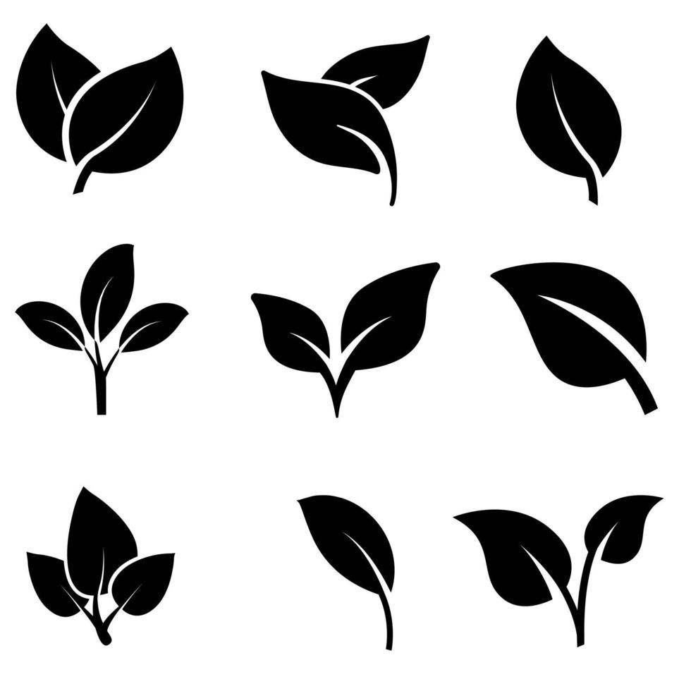 verde le foglie icona vettore impostare. botanica illustrazione cartello collezione. ecologia simbolo. eco cartello.