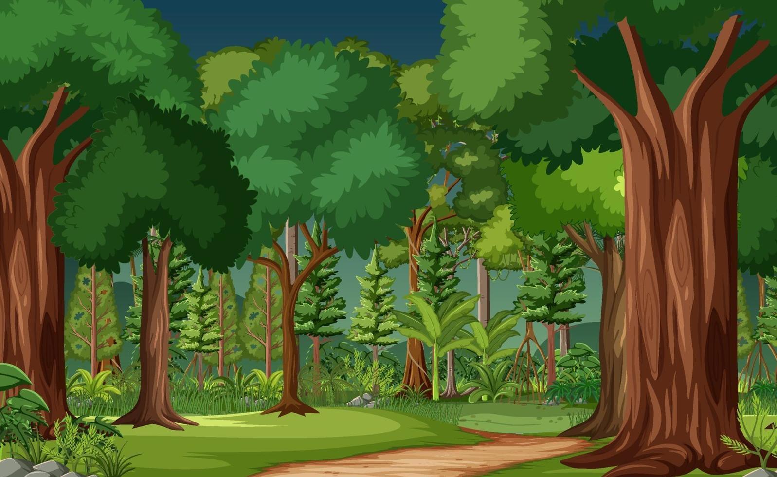 scena della foresta con molti alberi vettore