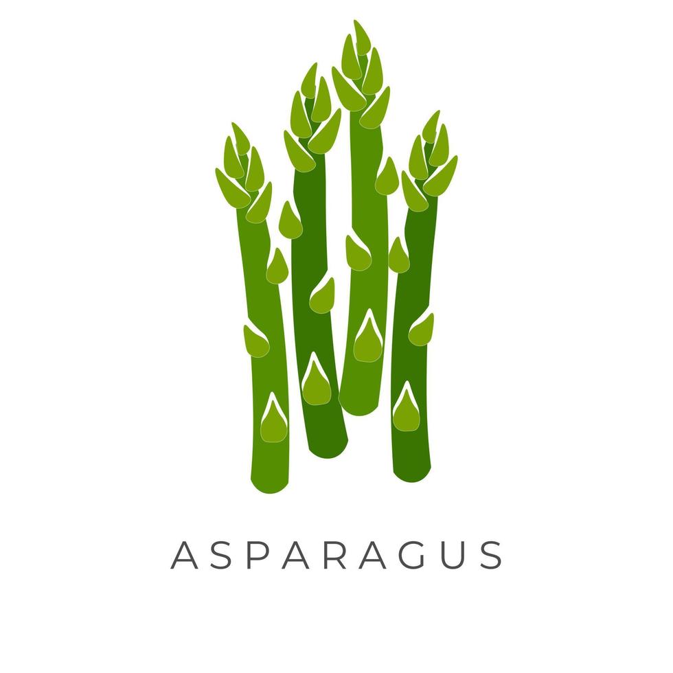 semplice cartone animato vettore illustrazione logo di verde asparago mazzo