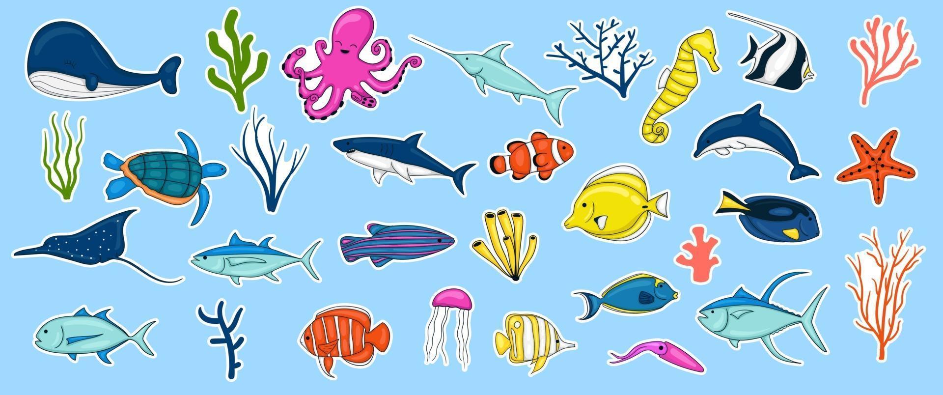 collezione di animali marini disegnati a mano colorati vettore
