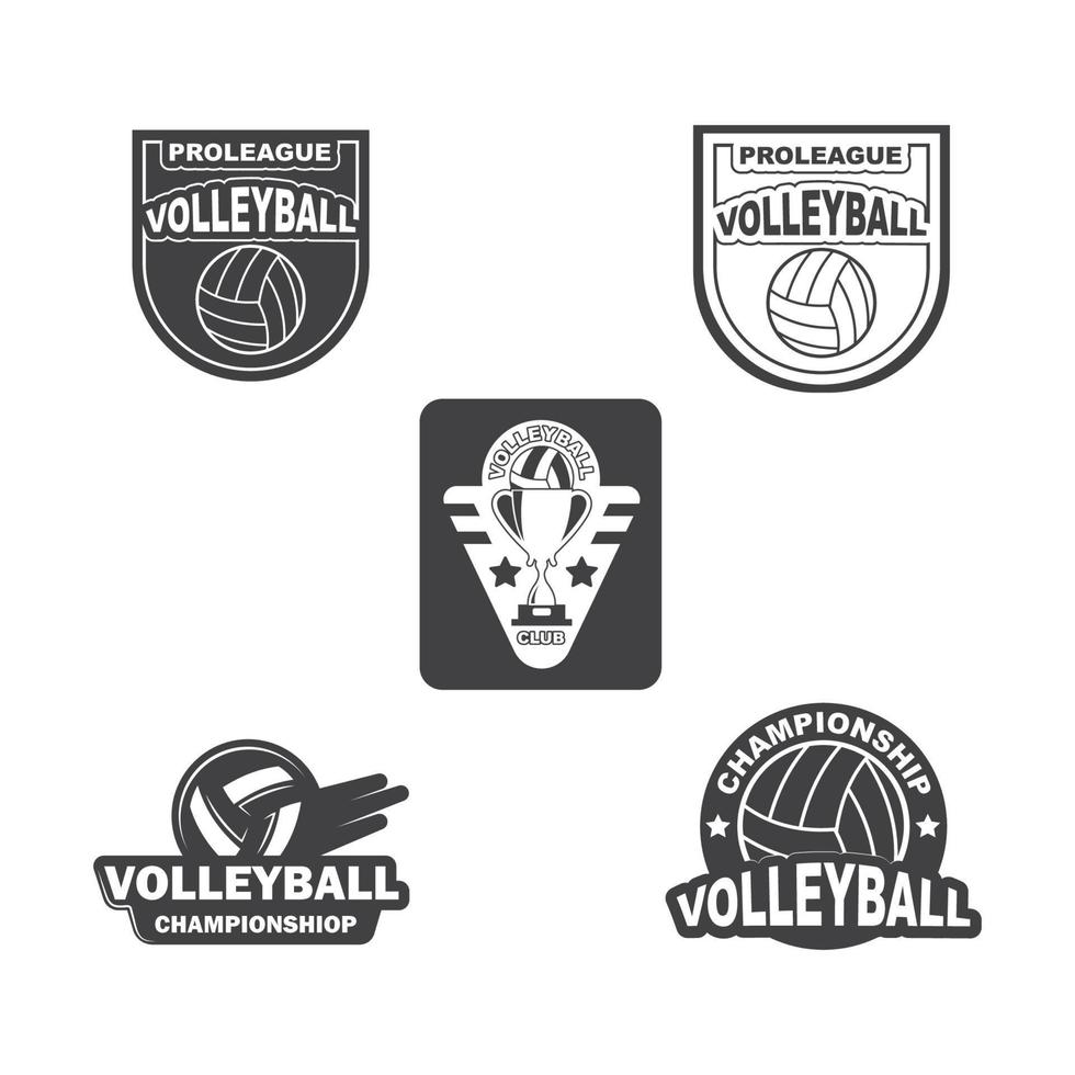 volley palla club logo e distintivo vettore icona illustrazione