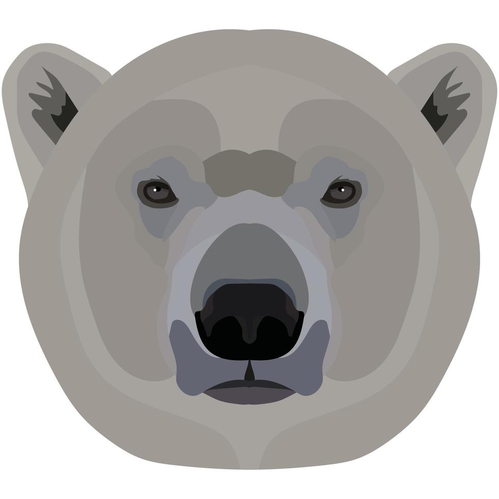 polare orso. il viso di il selvaggio animale di Antartide è raffigurato nel vettore stile. luminosa Immagine di un animale. logo, illustrazione isolato su bianca sfondo.