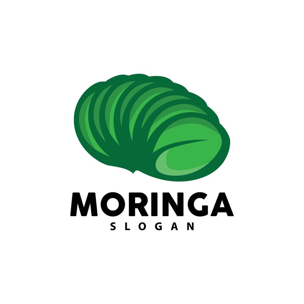 foglia logo, eco verde pianta vettore, verde terra cura raccolta differenziata disegno, moringa foglia logo icona modello illustrazione vettore