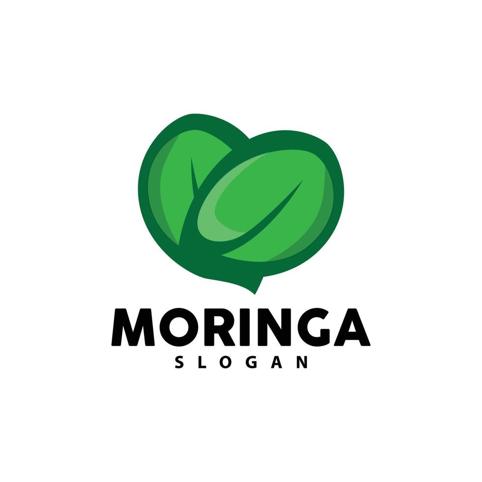 foglia logo, eco verde pianta vettore, verde terra cura raccolta differenziata disegno, moringa foglia logo icona modello illustrazione vettore