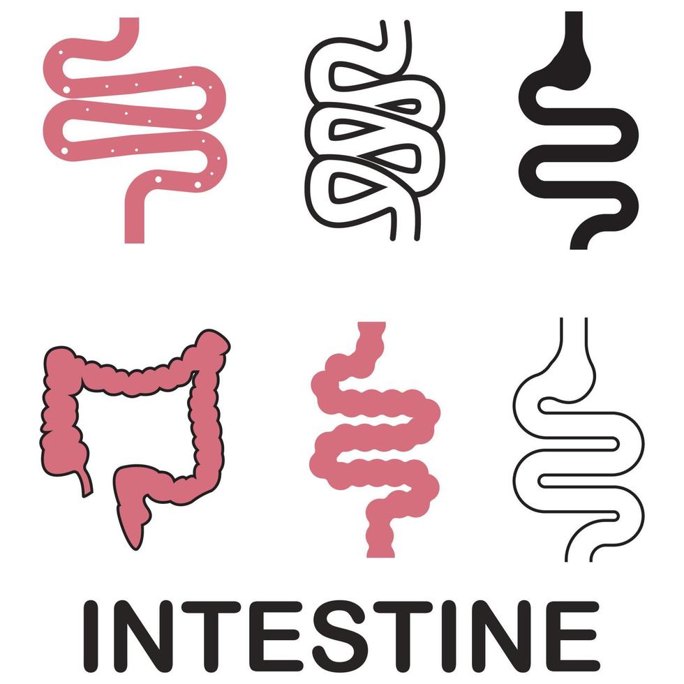 intestino semplice icona vettore