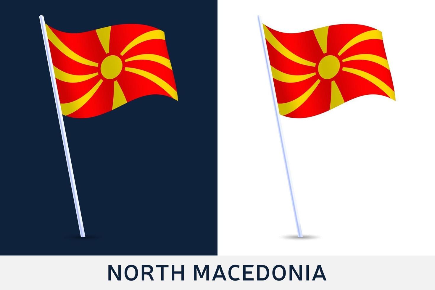 bandiera dell'onda della macedonia del nord vettore