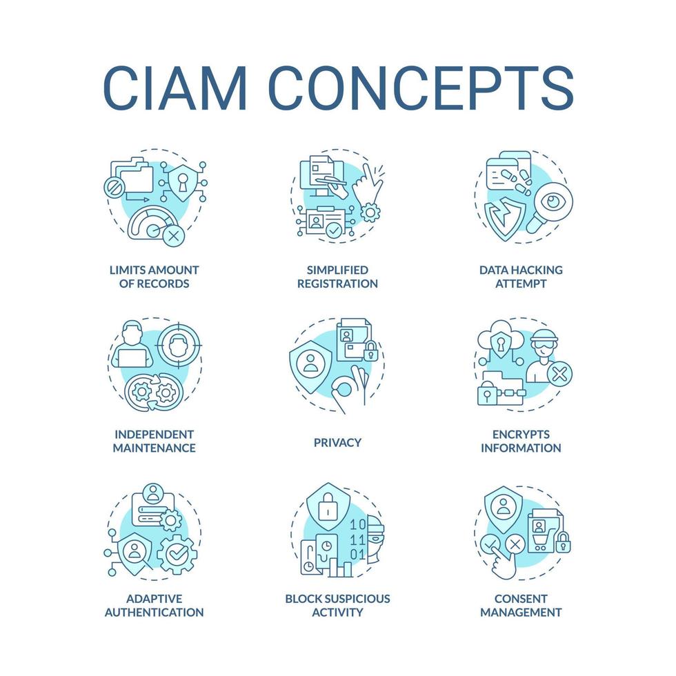 ciam turchese concetto icone impostare. cliente identità e accesso gestione idea magro linea colore illustrazioni. isolato simboli. modificabile ictus vettore