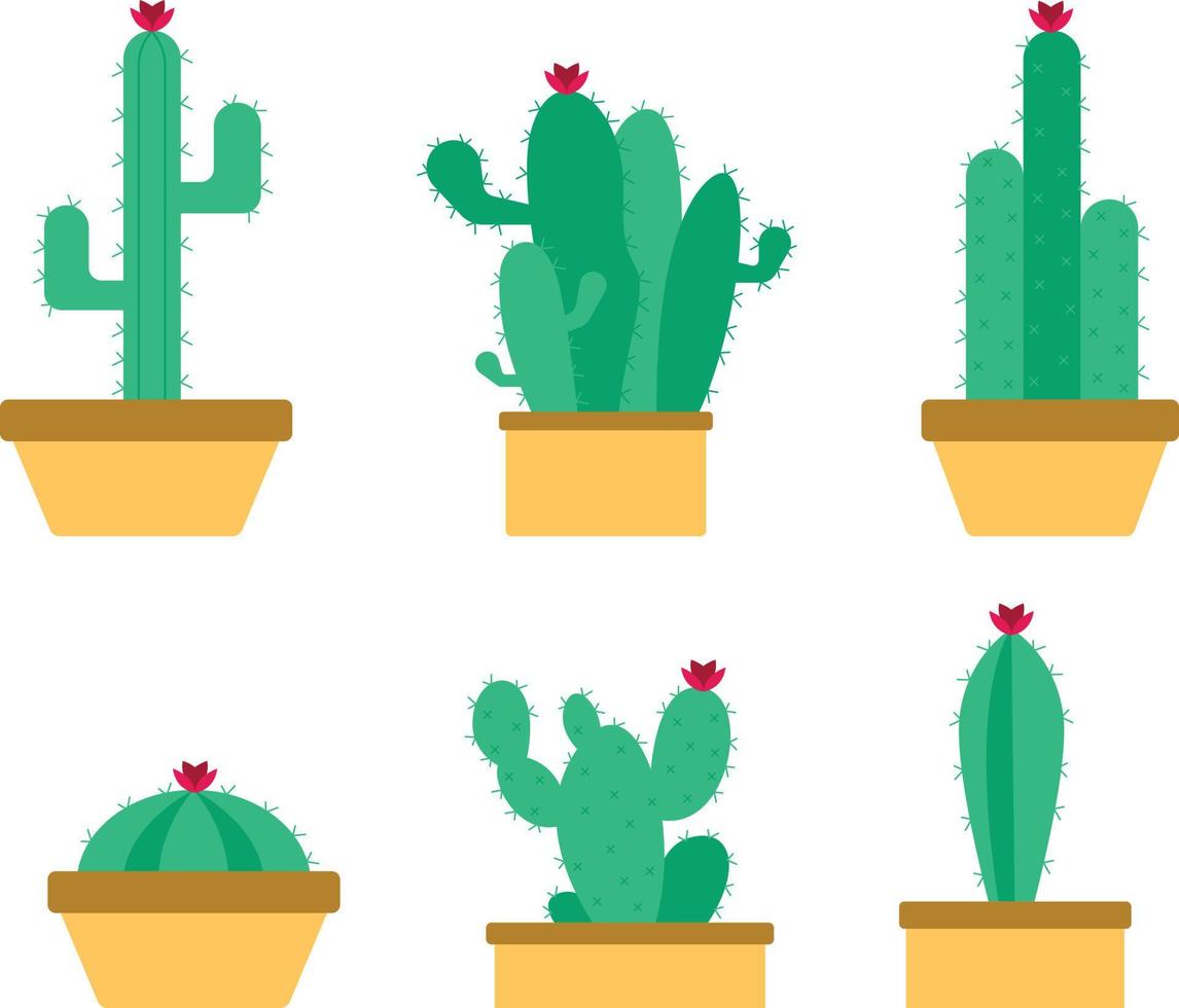 carino cactus piatto vettore design impostato