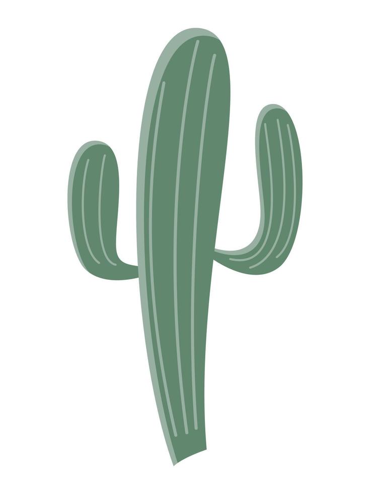 cactus illustrazione nel un' piatto stile su un' bianca sfondo. casa impianti cactus illustrazione. vettore