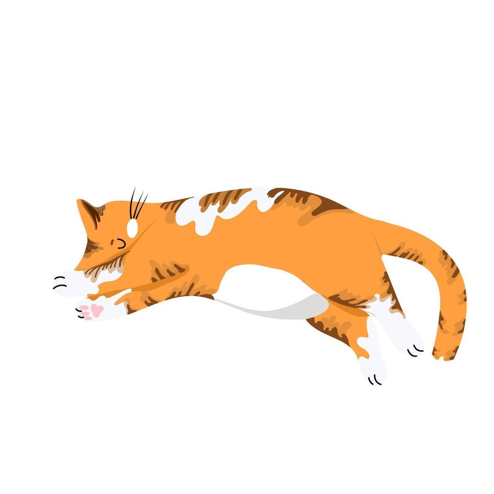 gatto rosso che dorme con le zampe tese, simpatico personaggio dei cartoni animati, animale domestico, oggetto vettoriale isolato su sfondo bianco, disegnare a mano.