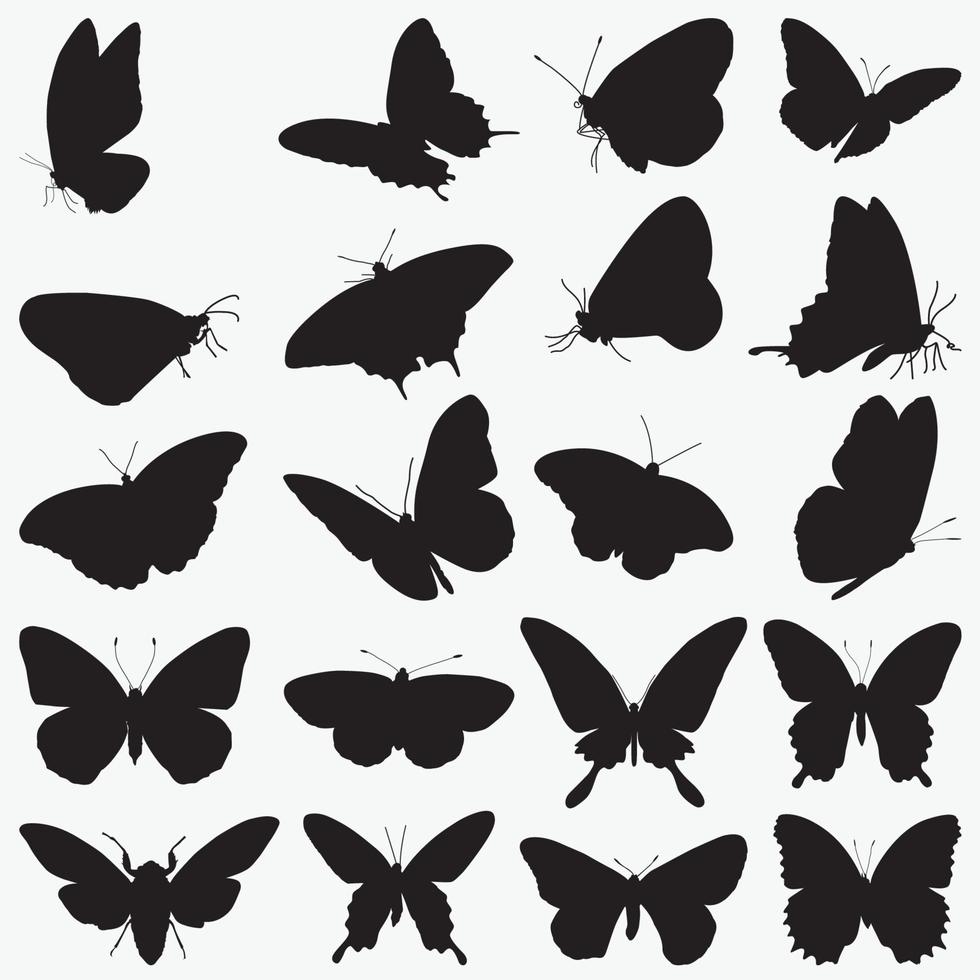 farfalle sagome vettoriali design modelli impostati