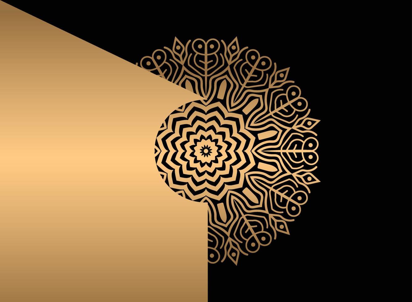 mandala. etnico decorativo elemento. mano disegnato sfondo. Islam, Arabo, indiano, ottomano motivi. vettore