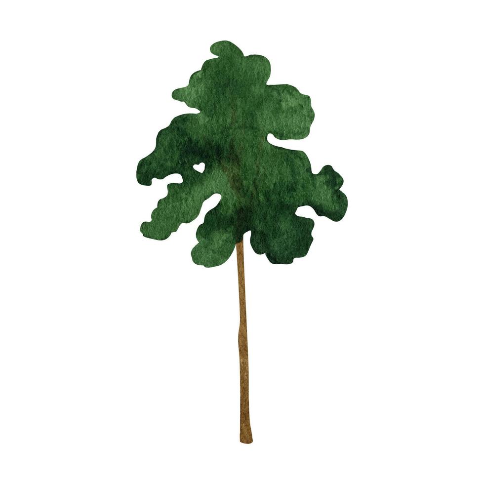 mano disegnato acquerello foresta deciduo albero clipart vettore