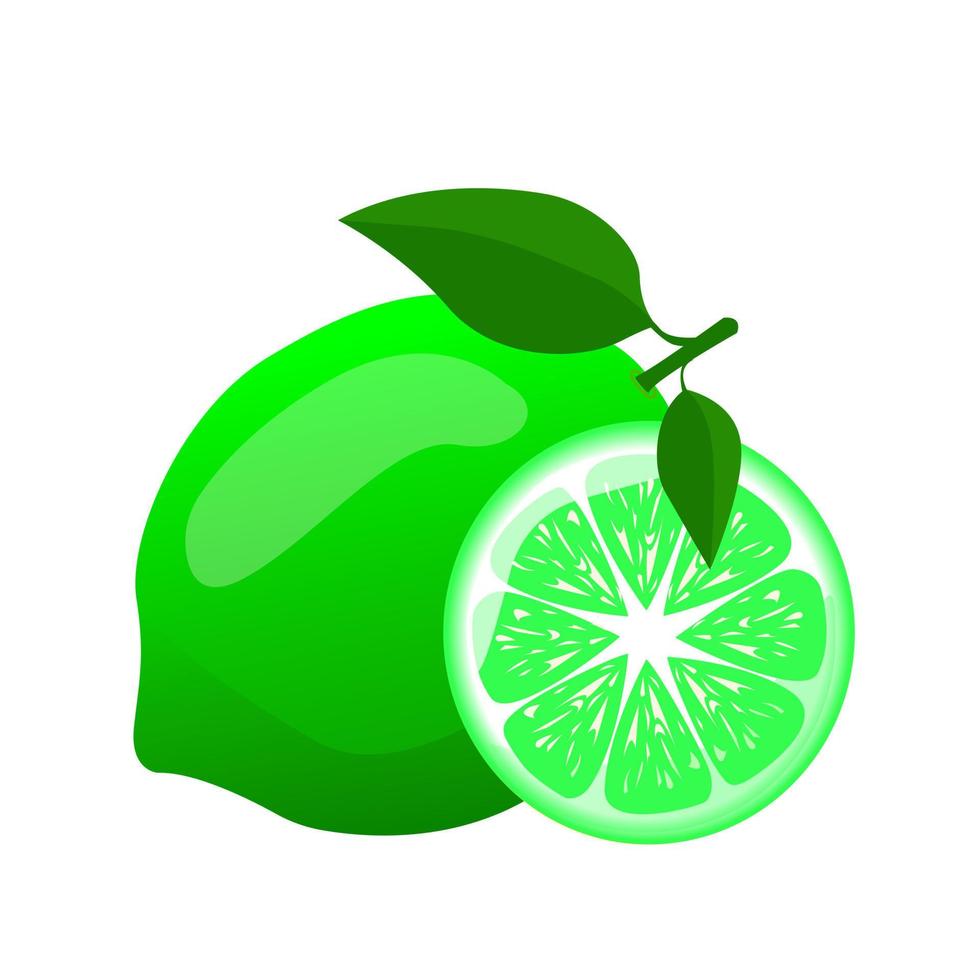 lime con verde foglia e lime affettato.per manifesti, loghi, etichette, striscioni, adesivi, Prodotto confezione disegno, eccetera. vettore illustrazione