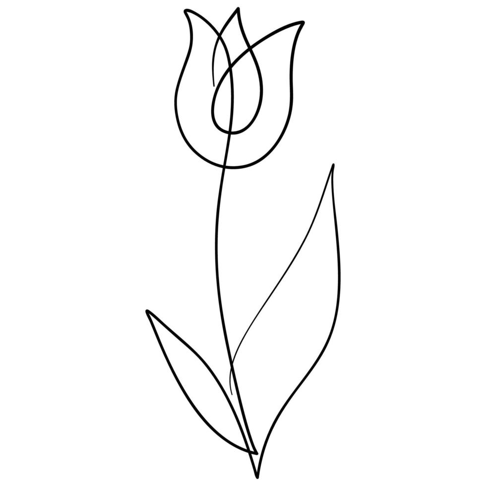 uno linea disegno tulipano fiore vettore