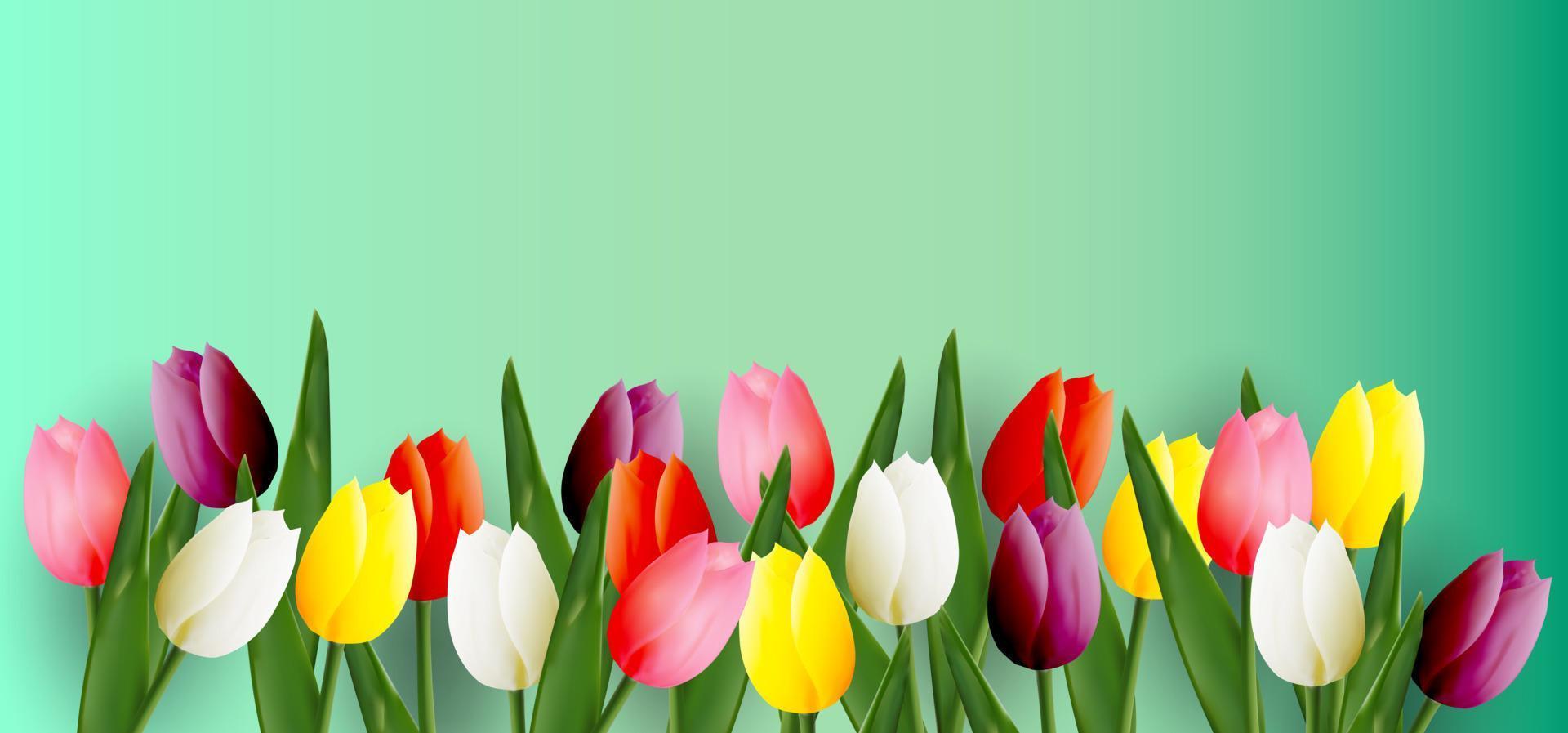 multicolore tulipani. posto per il tuo testo. floreale modello per cartolina, invito, striscione, manifesto. realistico 3d vettore. vettore