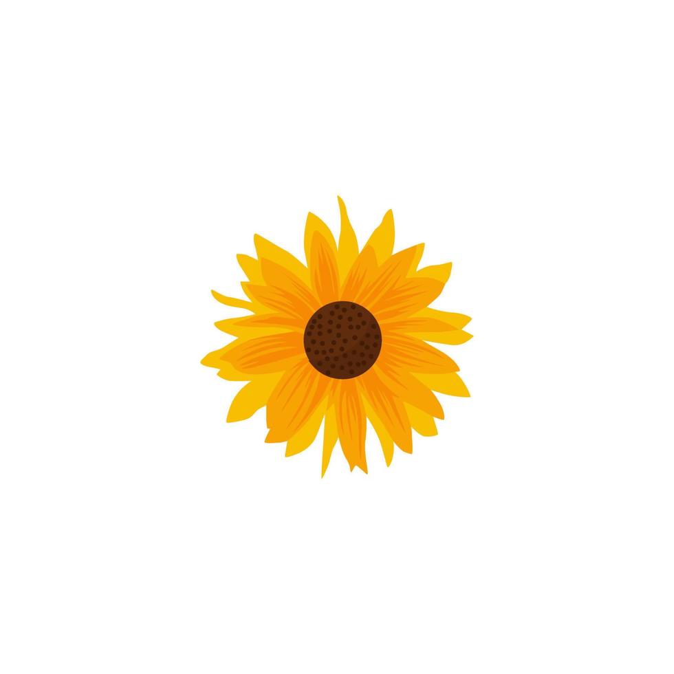 un' girasole con un' Marrone centro e un' Marrone centro. vettore