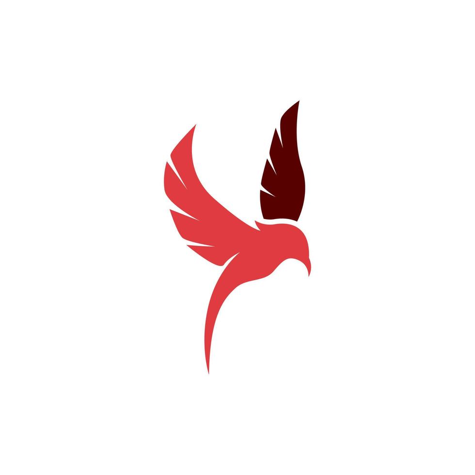 uccello logo design. colorato volante uccello logo. vettore