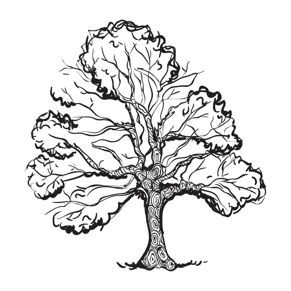 disegno dell'albero di quercia vettore