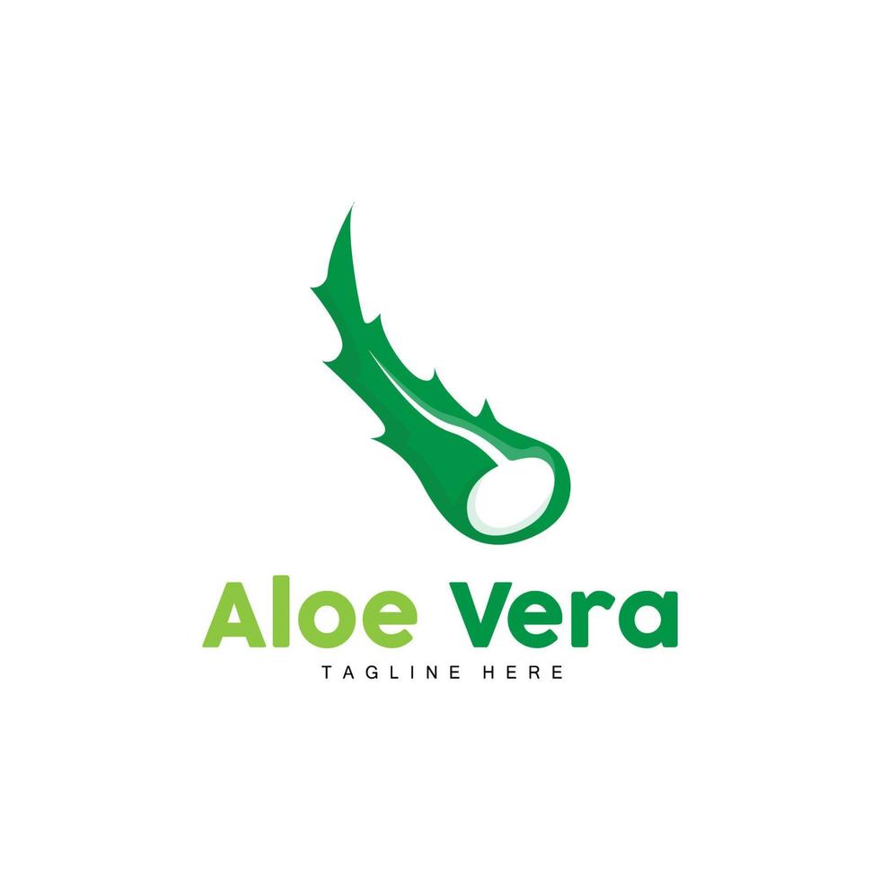 aloe Vera logo, verde pianta disegno, tradizionale medicina e pelle cura pianta vettore, capelli cura, simbolo icona illustrazione vettore