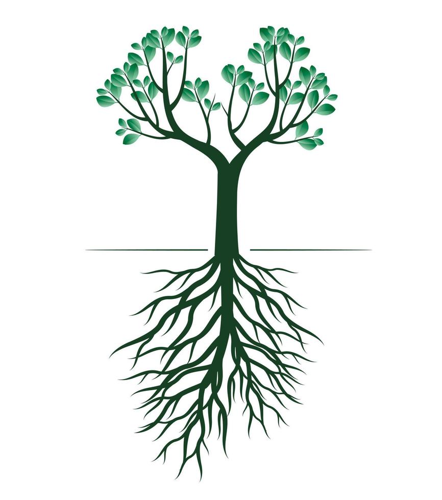 albero primaverile verde con radici. illustrazione vettoriale. vettore