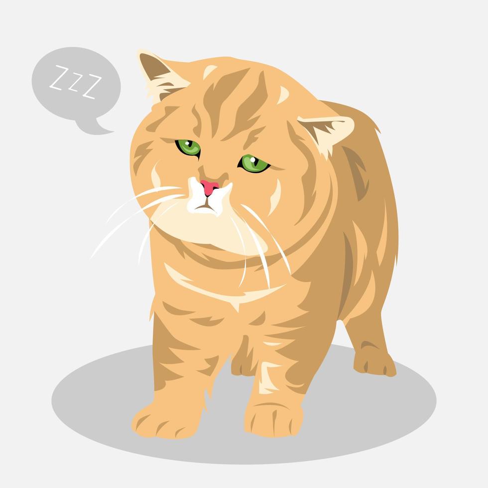 carino Grasso gatto assonnato cartone animato illustrazione. Palloncino testo con dormire icona. pieno corpo. animali domestici, animali. per Stampa, etichetta, manifesto, e di più. vettore