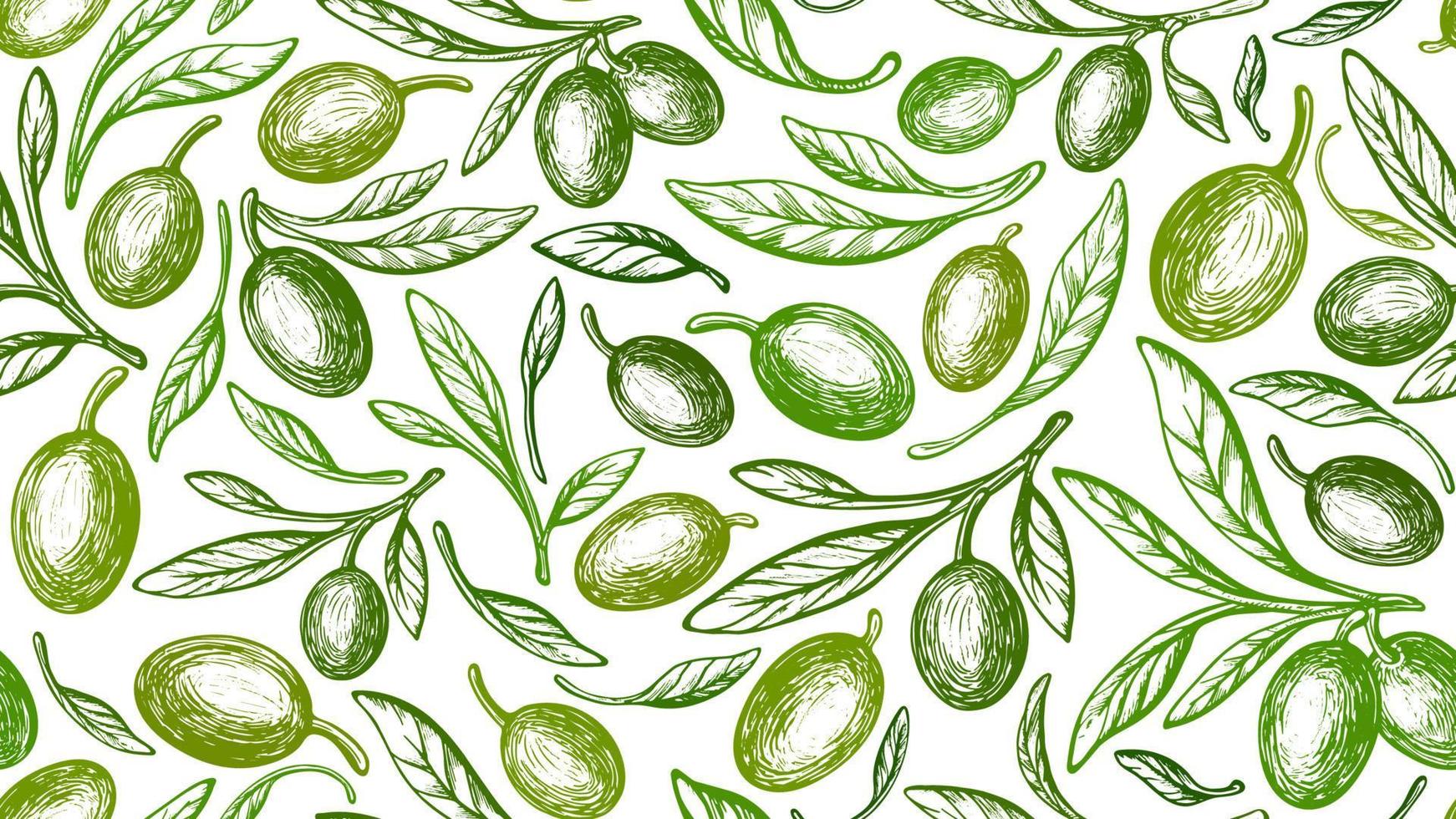 verde olive frutta, le foglie vettore senza soluzione di continuità modello