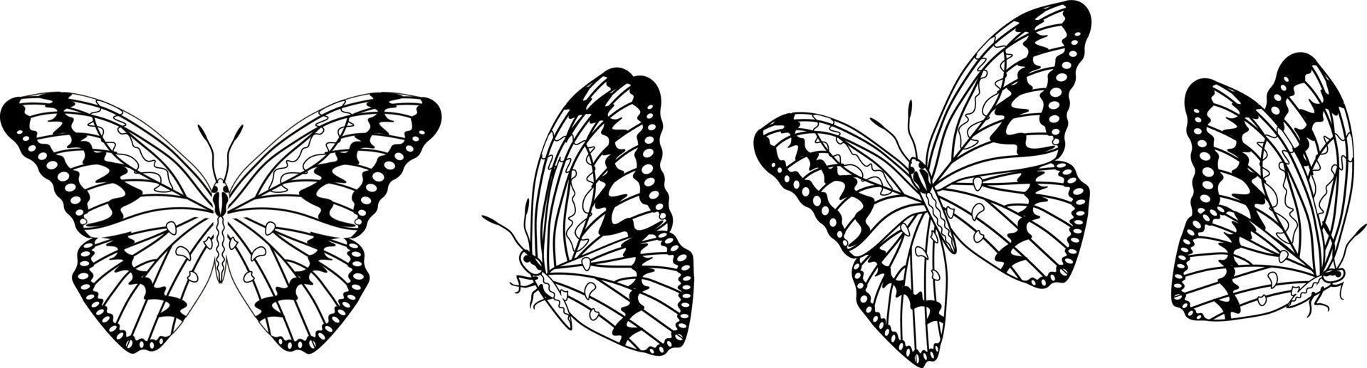 farfalla silhouette nel 4 opzioni vettore nel isolato sfondo