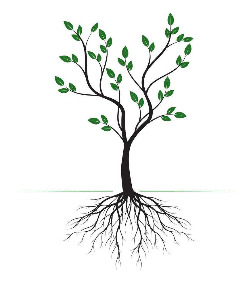 verde albero wth radici. vettore illustrazione.