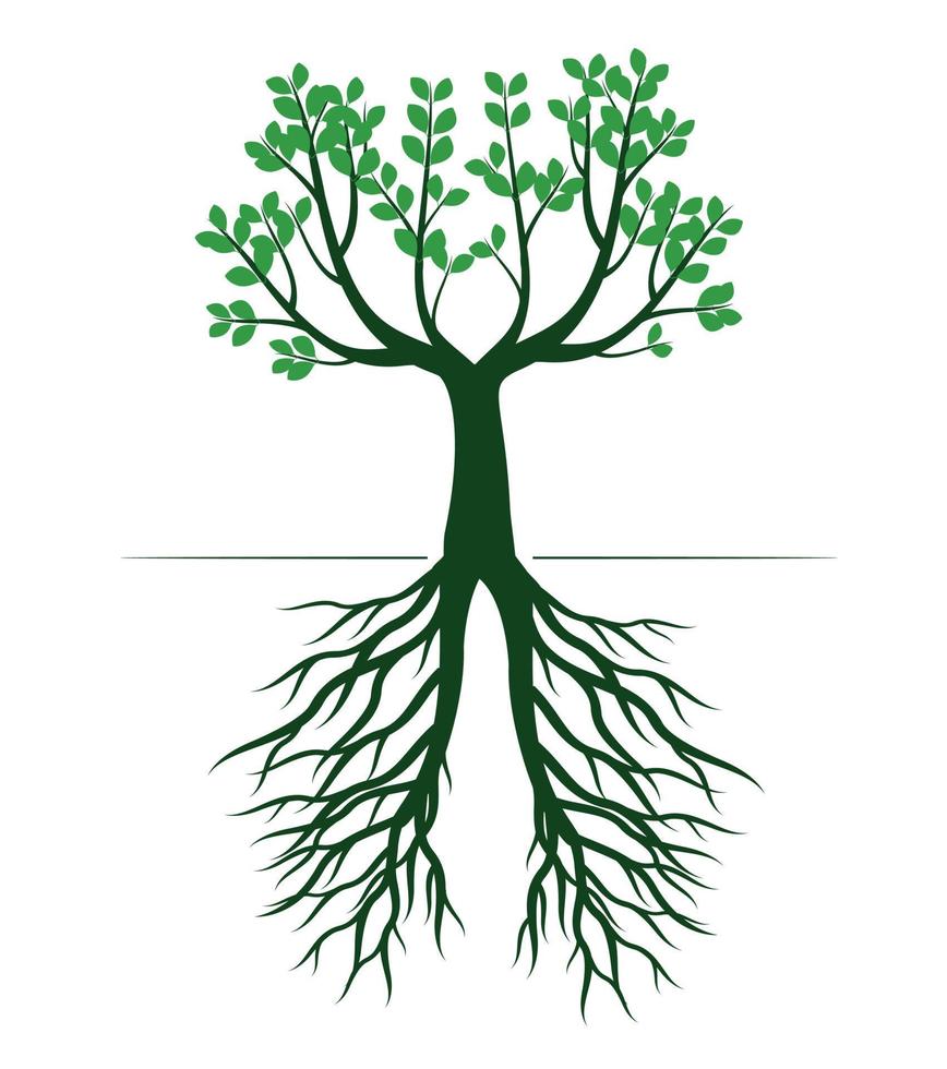 albero primaverile verde con radici. illustrazione vettoriale. vettore