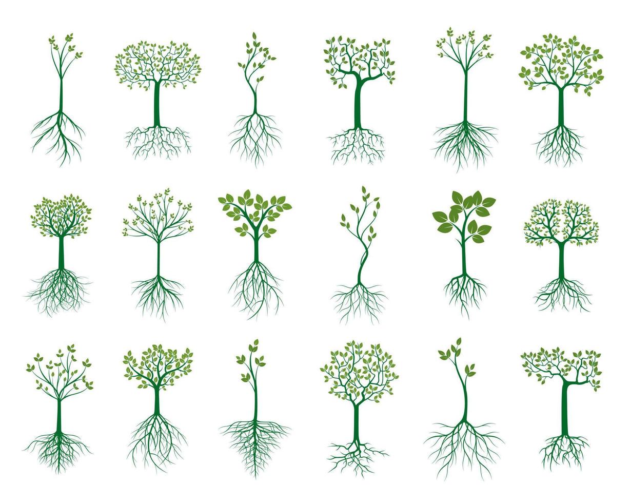 impostato verde giovane alberi. vettore illustrazione.