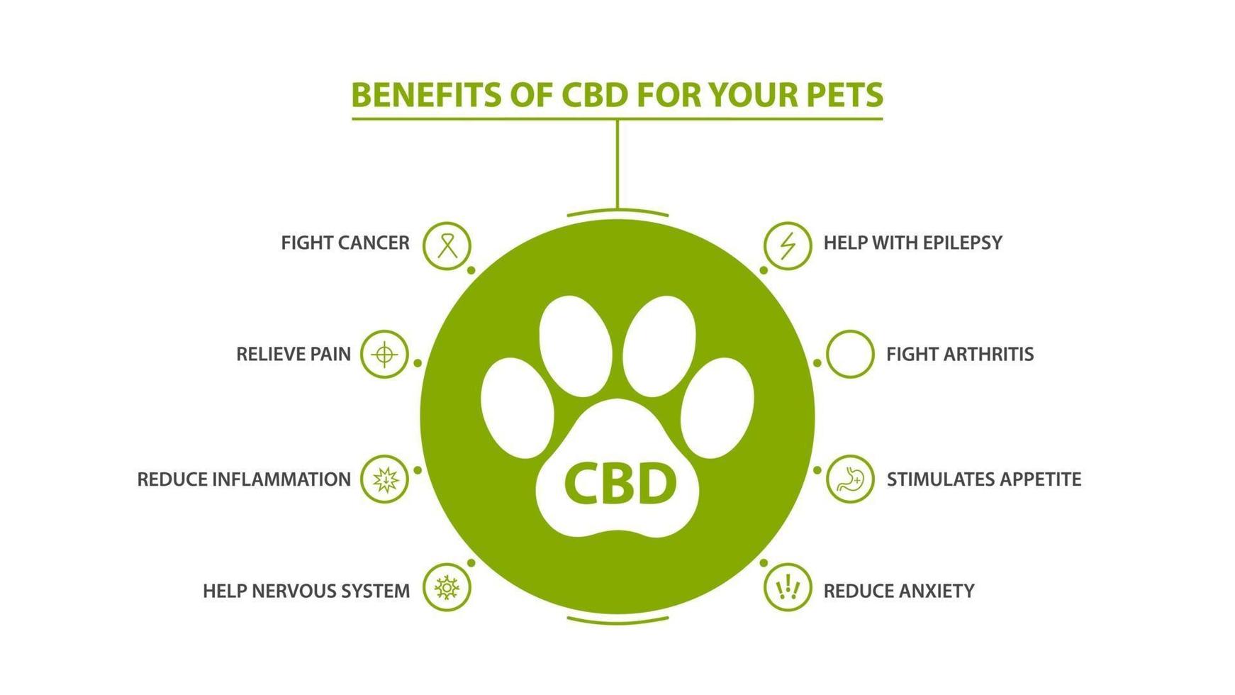 poster informativo dei benefici del cannabidiolo per i tuoi animali domestici con infografica vettore