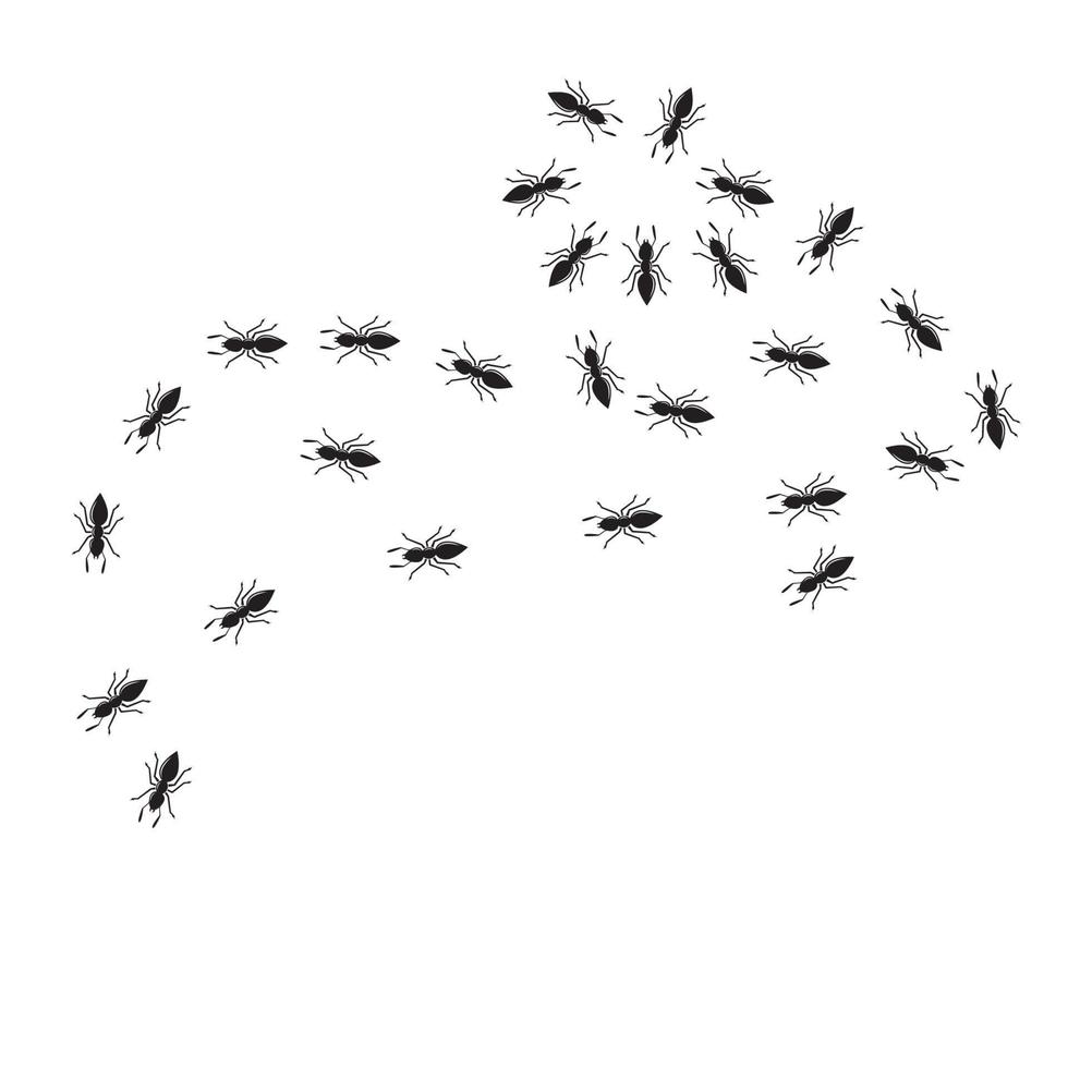 disegno di illustrazione vettoriale di formica