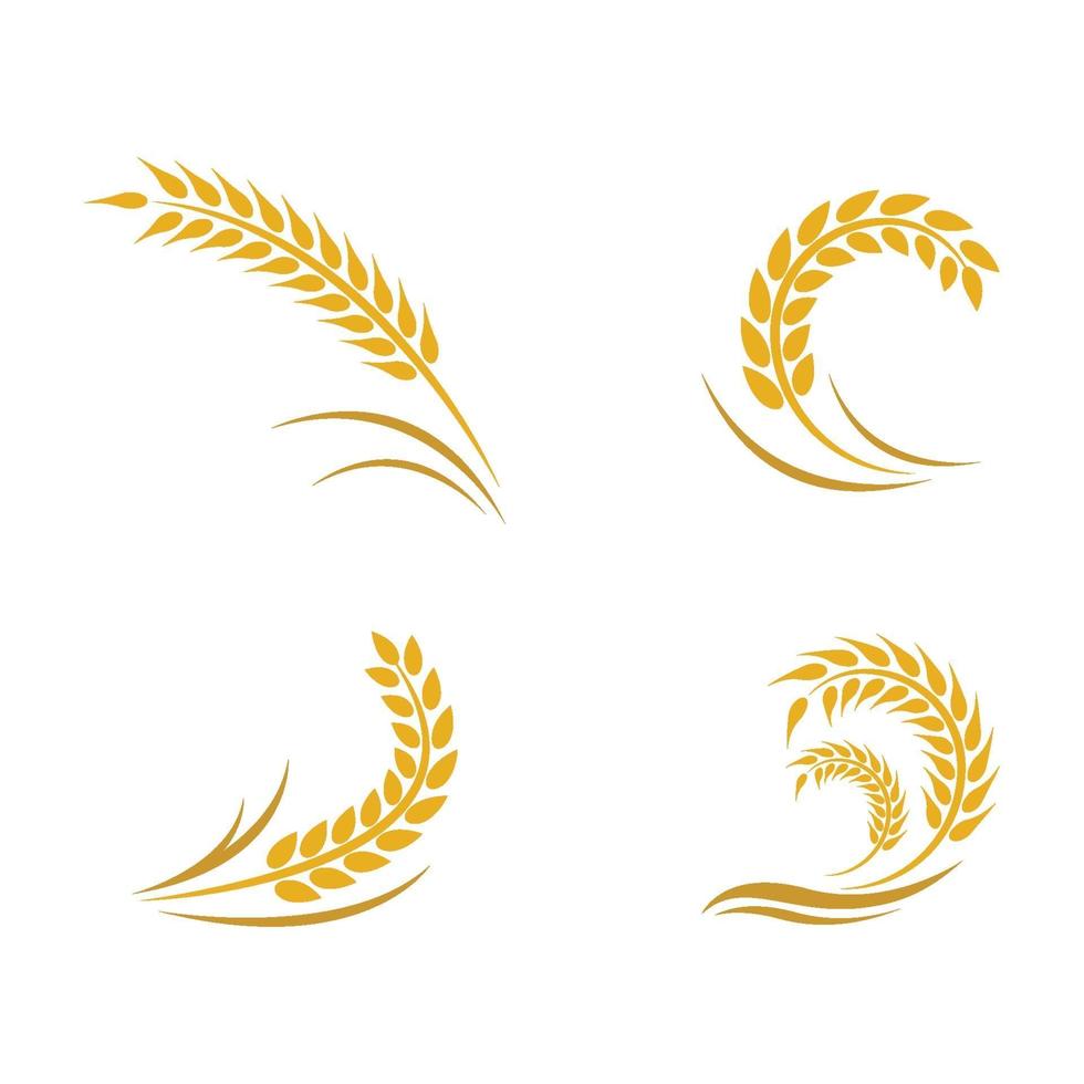 immagini del logo di grano vettore