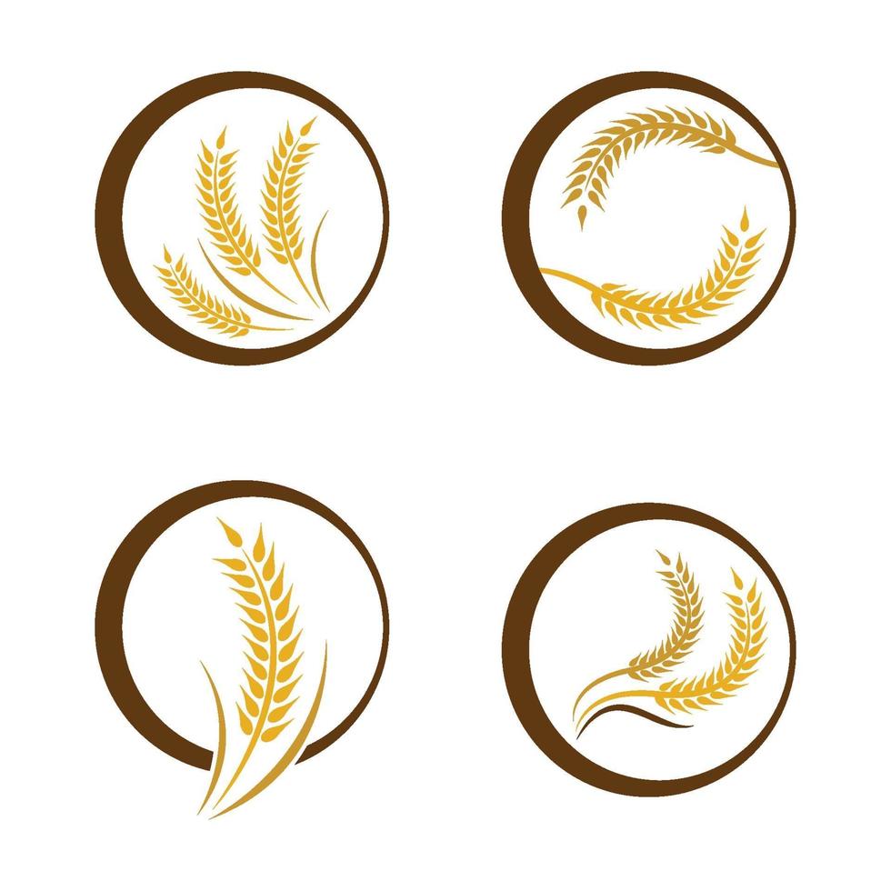 immagini del logo di grano vettore