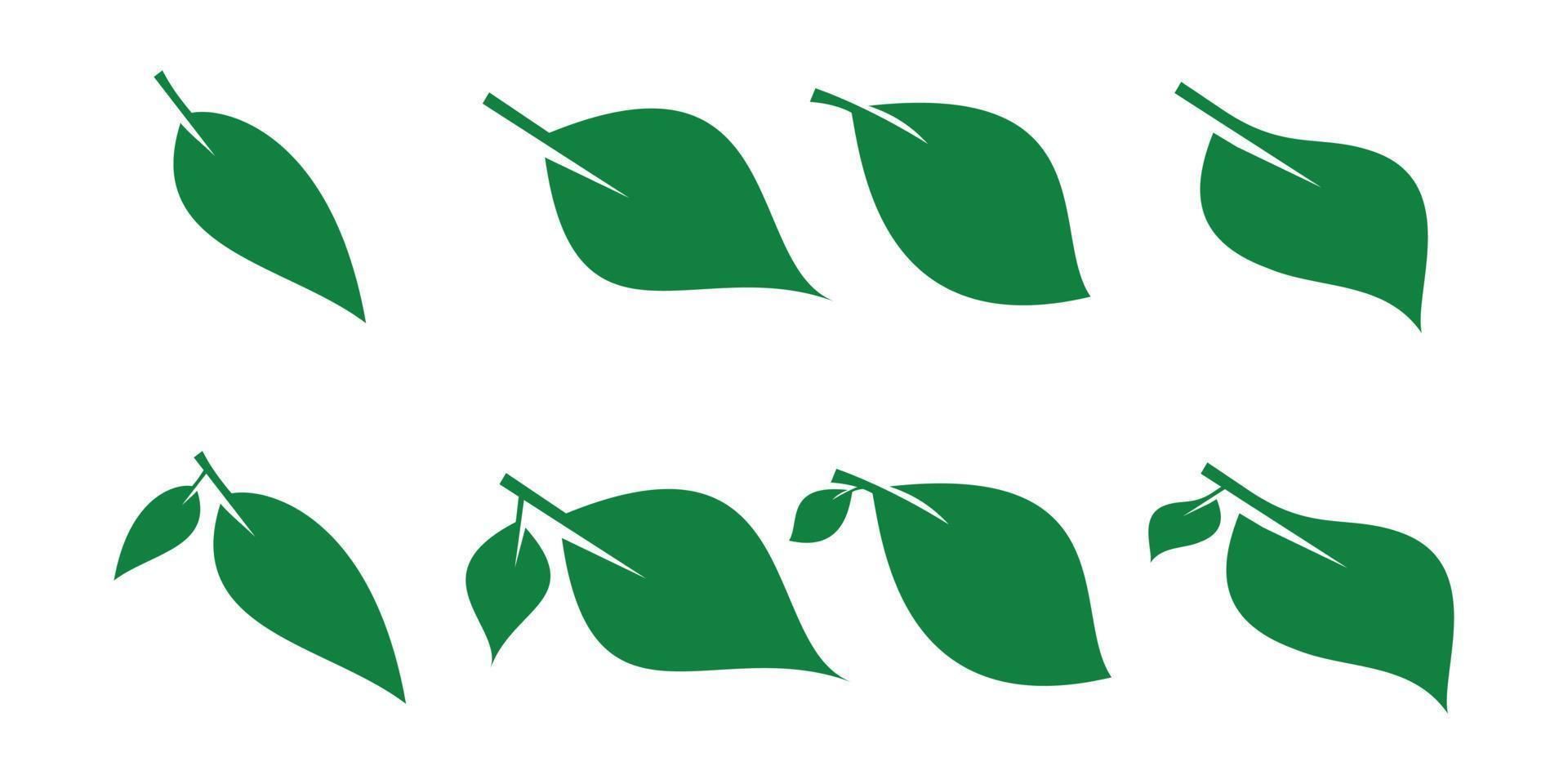 verde foglia icona impostare. foglia icona. collezione di verde le foglie. design elementi per etichette naturale, eco, bio, vegano. vettore illustrazione.