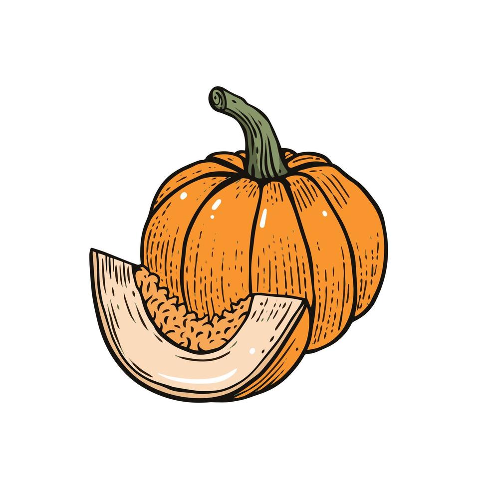 mano disegnato colorato cartone animato stile zucca vettore arte illustrazione.