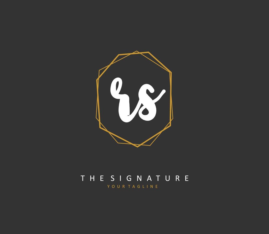 r S rs iniziale lettera grafia e firma logo. un' concetto grafia iniziale logo con modello elemento. vettore