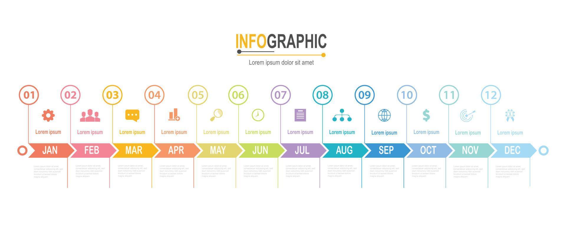 Infografica 12 passaggi sequenza temporale nel 1 anno modello attività commerciale dati illustrazione vettore