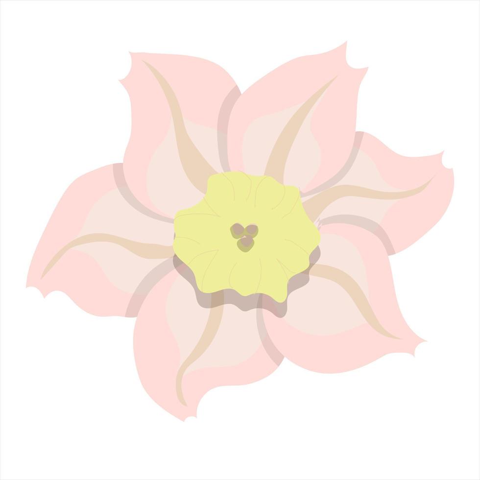 colorato astratto fiore icona. vettore illustrazione isolato su bianca sfondo.