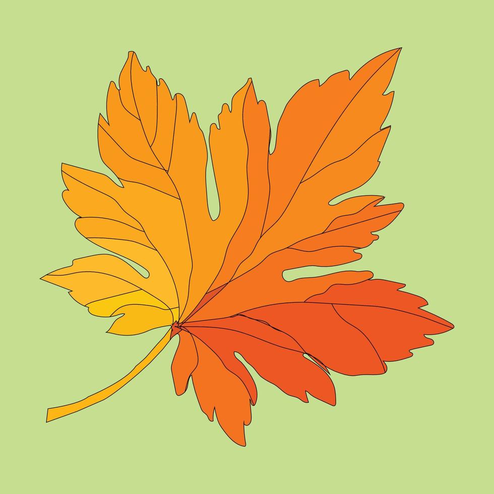 un' bellissimo autunno foglia illustrazione vettore arte design