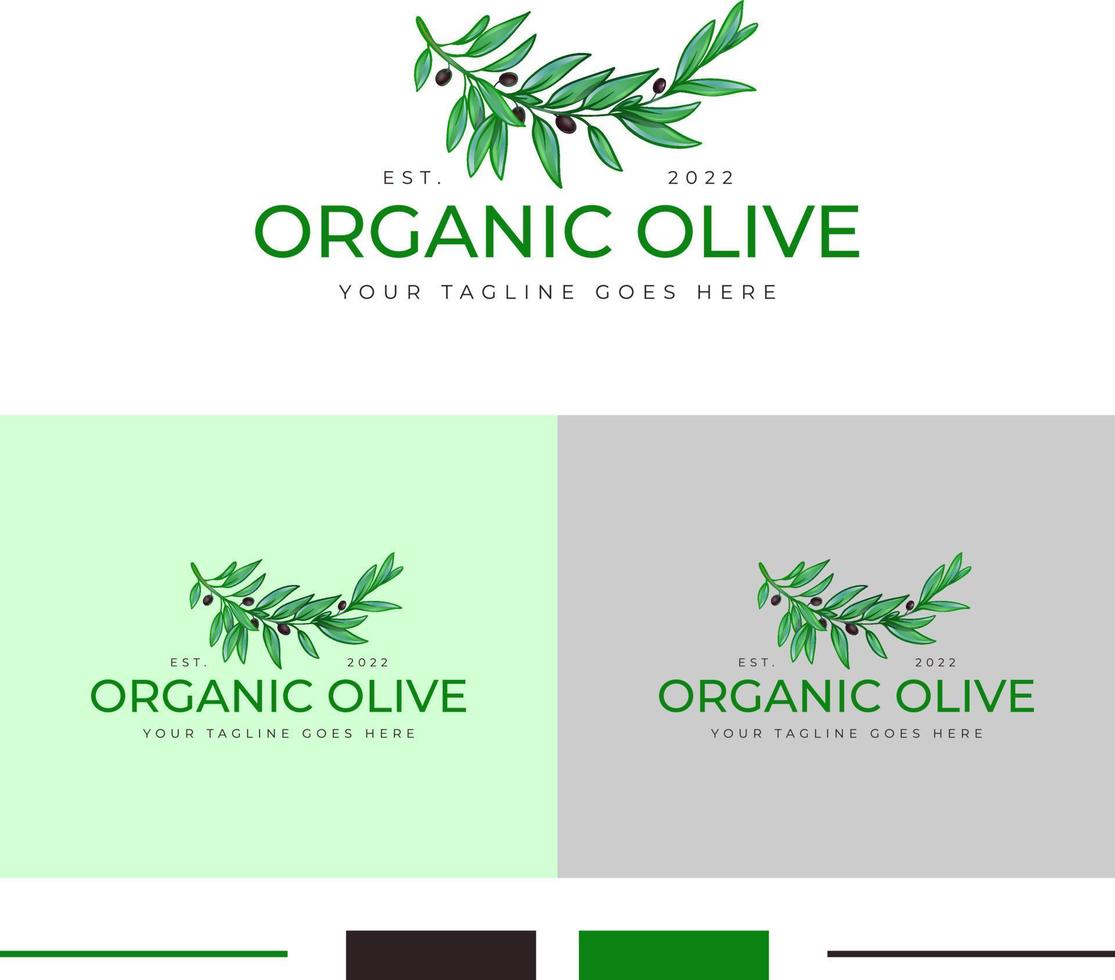 biologico oliva logo disegno, oliva foglia, olive logo design vettore
