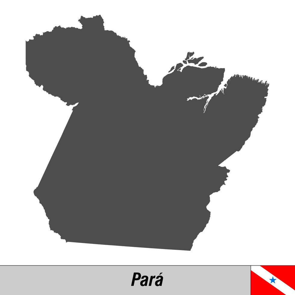 alto qualità carta geografica con bandiera stato di brasile vettore