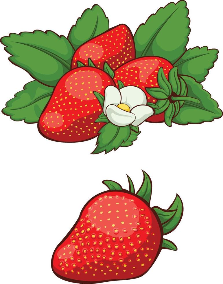 illustrazione isolata di vettore del fumetto della frutta della fragola rossa fresca