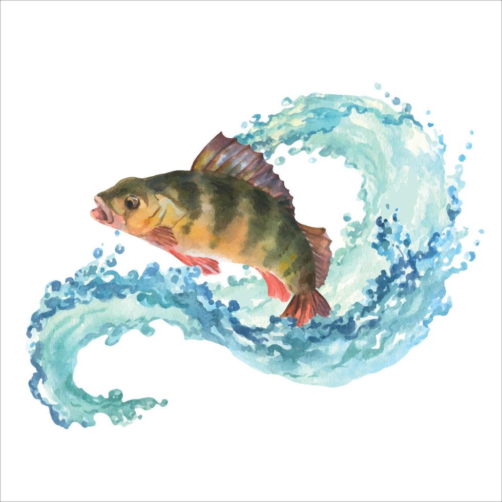 acquerello illustrazione, un' pertica salti su di il acqua. composizione pertica e onda con acqua spruzzo isolato su bianca sfondo vettore
