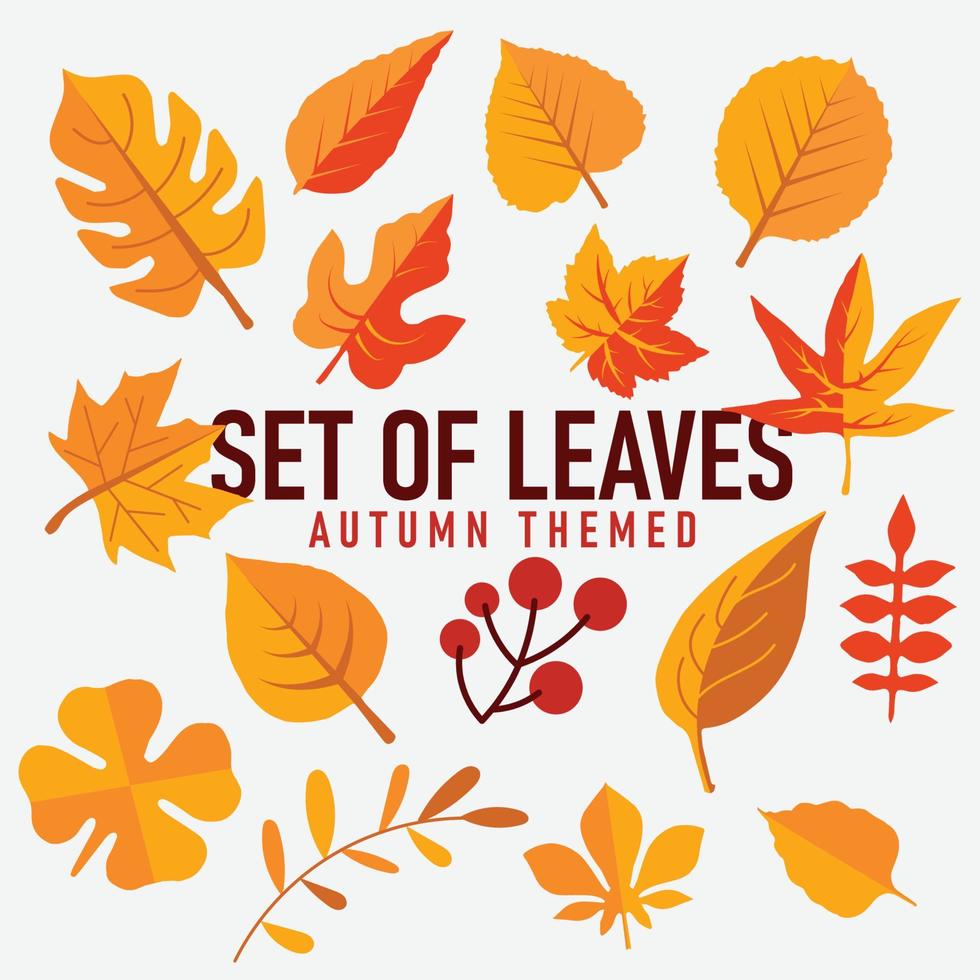 collezione bellissimo autunno le foglie isolato su bianca sfondo autunno sfondo. autunno a tema vettore